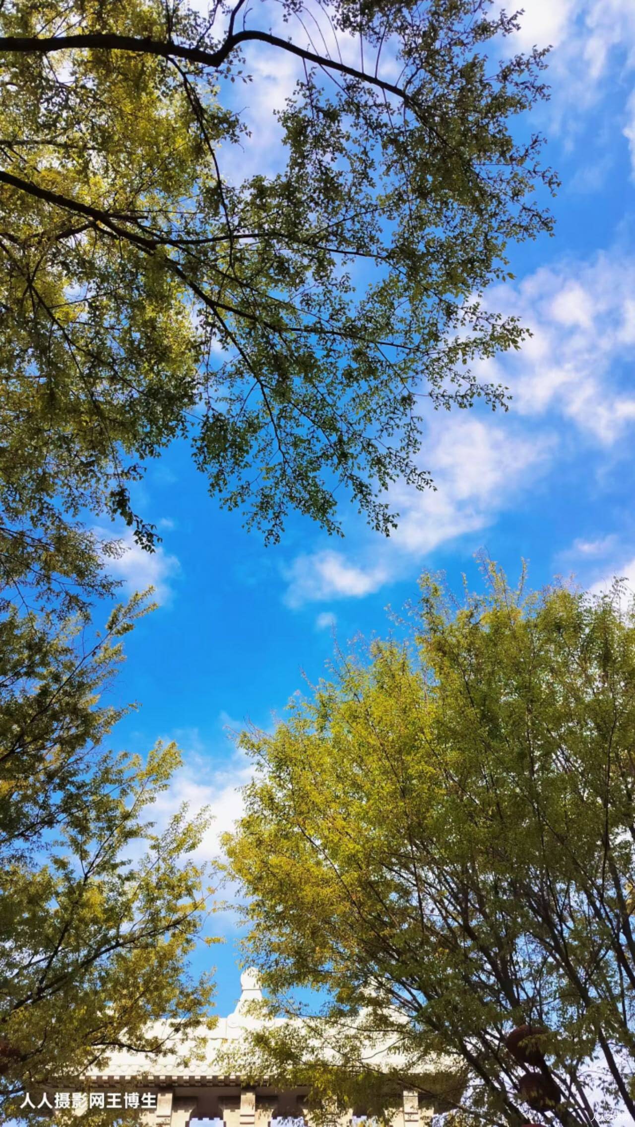 卜算子·安渡浮生