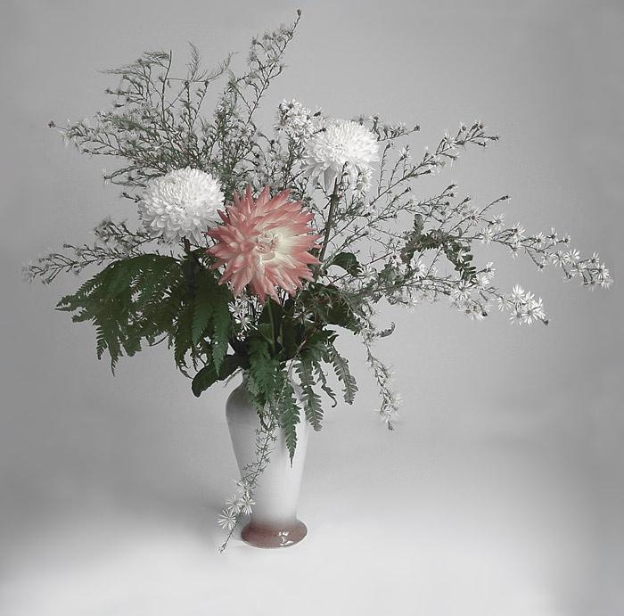 褚韶华——一朵竭力盛放的花