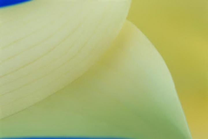 享受独处的美好