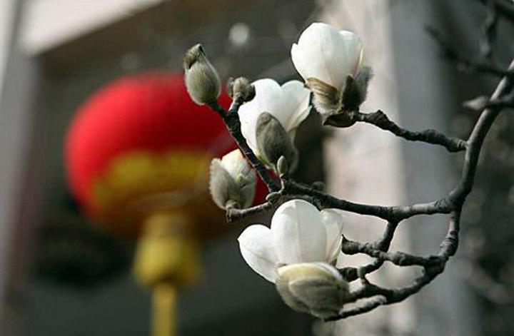 手工制作的快乐