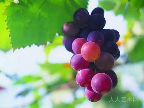 农民女儿看峰会  作者吕小红