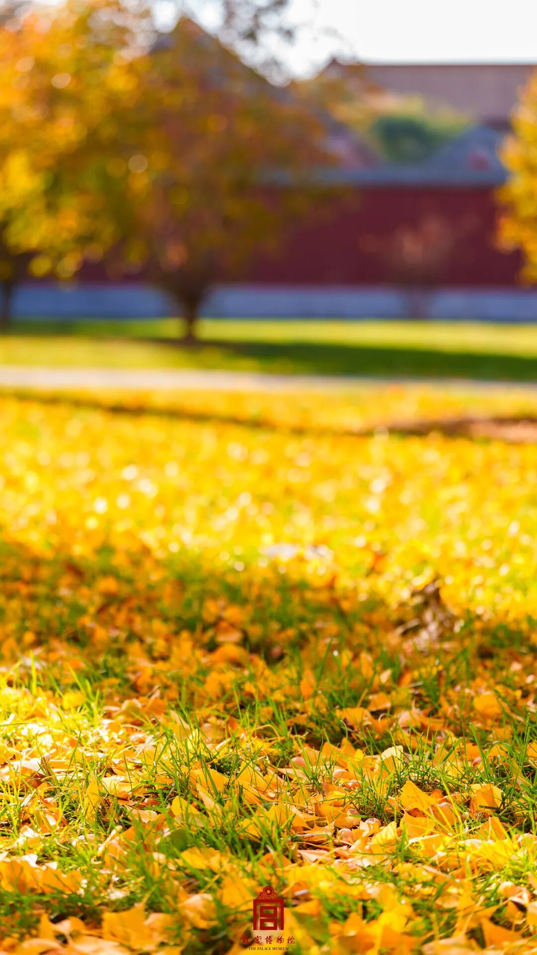 故宫四季美景，震撼高清美图！（9）