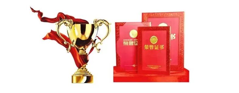 段春梅诗作斩获全国大奖，诗集《澜韵集》温情面世