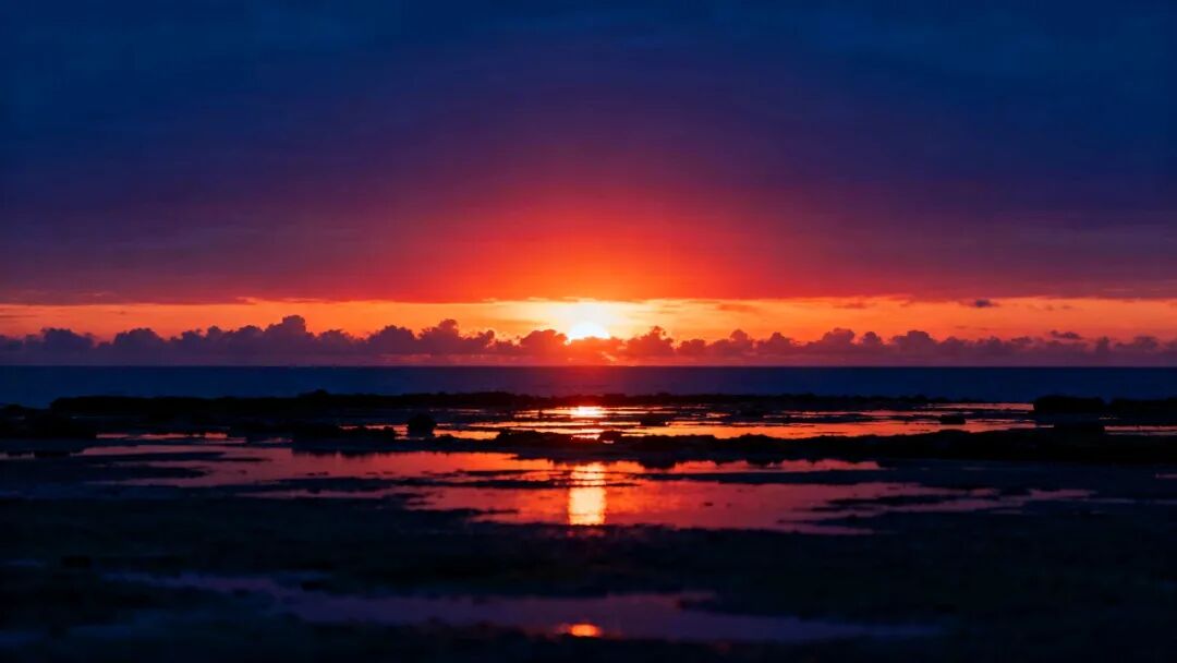 日出​（外四首）/李发模