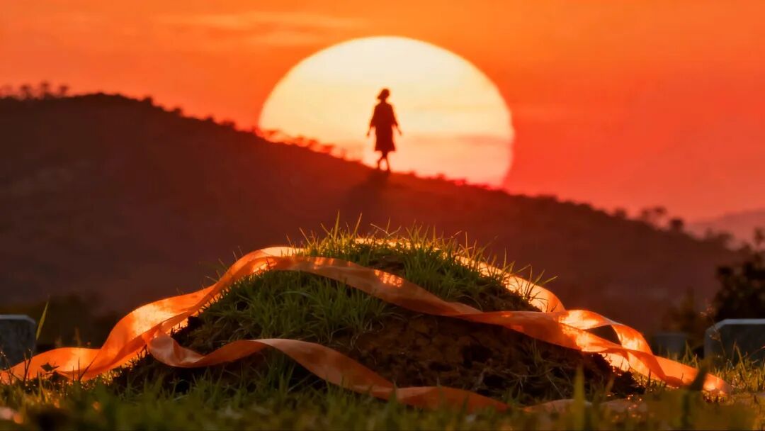 一纸蚂蚁/李发模