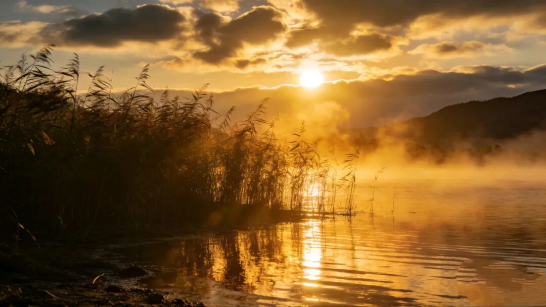 孤老（外一首）/李发模