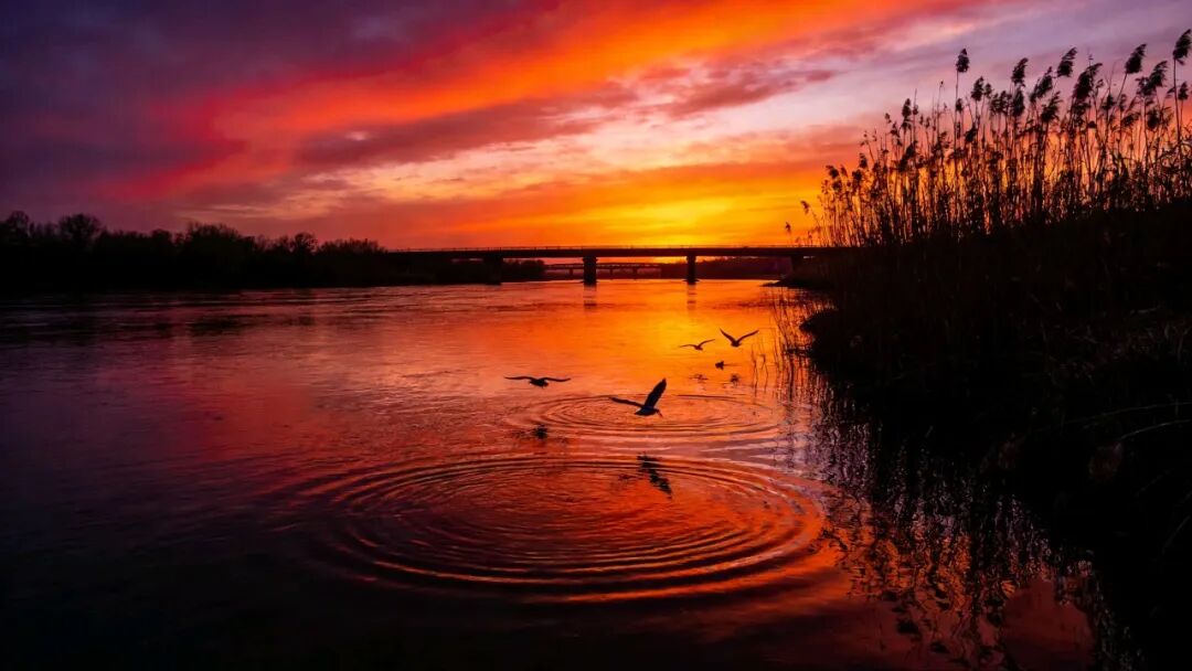 山里时候（外二首）/李发模